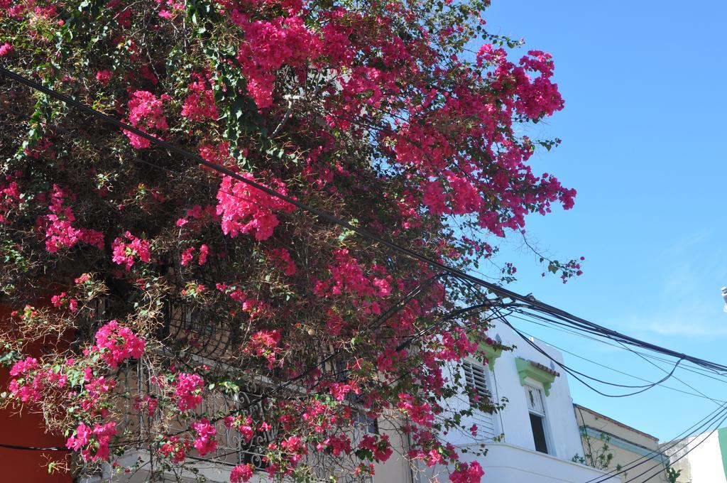 Dona Elvira Boutique Hotel Santo Domingo Rom bilde